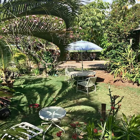 Hakuna Matata Maui Hostel-2